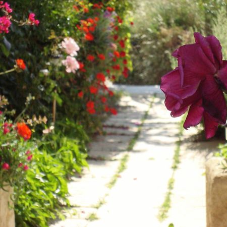 Creta Sun Hotel Studios Agia Pelagia  Buitenkant foto